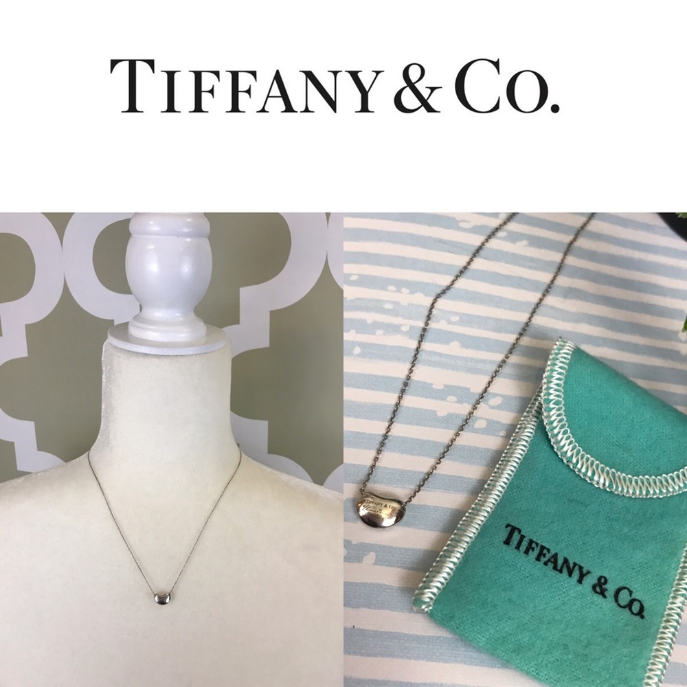 Tiffany & Co. Elsa Peretti Charm+16” TCo Necklace